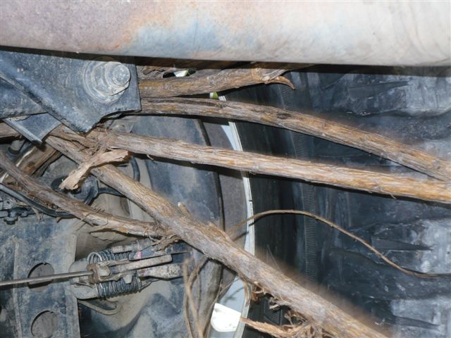 4wd_trips/2013-02-17_OpenDay/4WD 17 Feb 2013 006.jpg